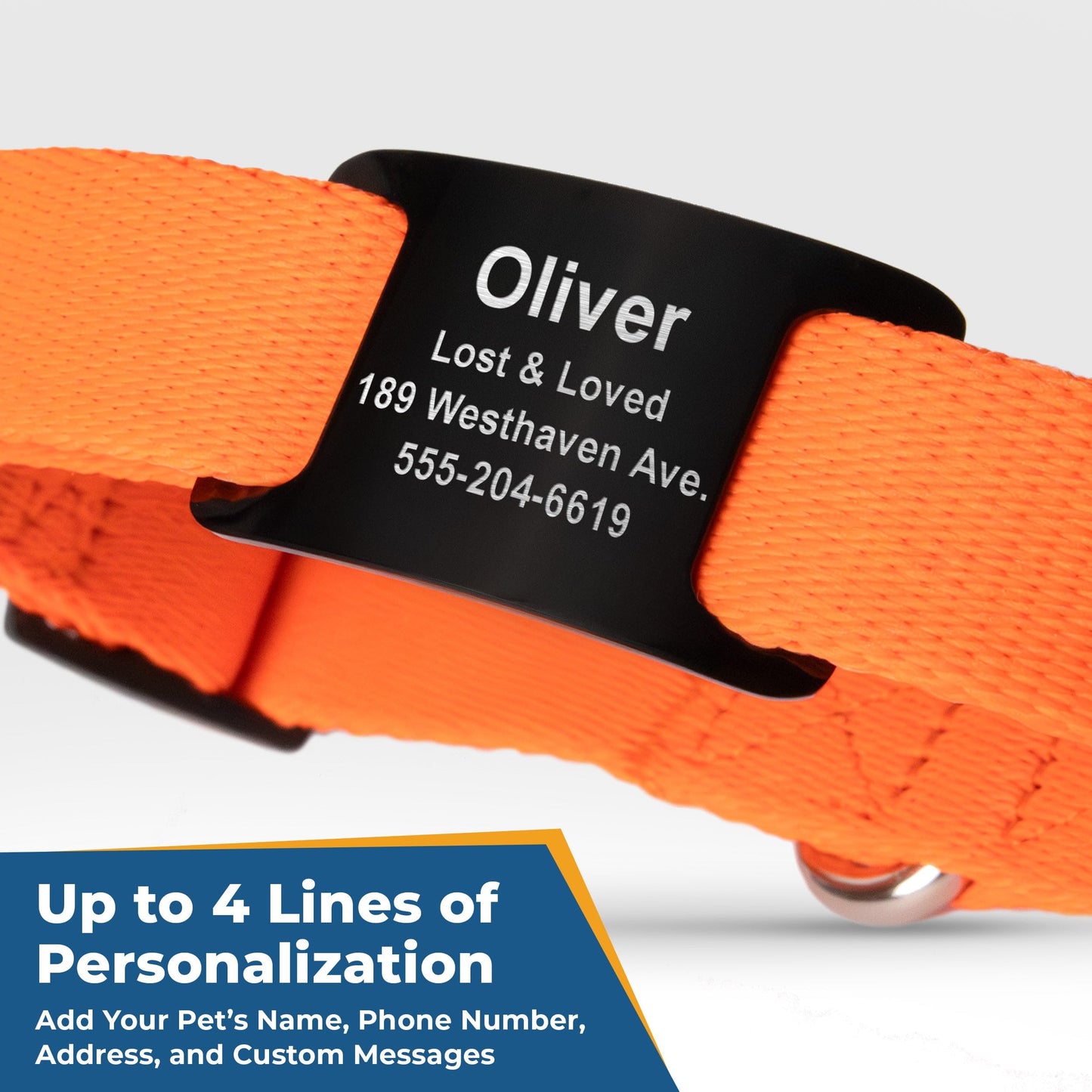 GoTags Reflective Personalized Dog Collar with Nameplate, Collar