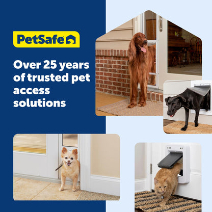 PetSafe Interior Cat Door: 4-Way Locking, Indoor Pet Door Flap Box