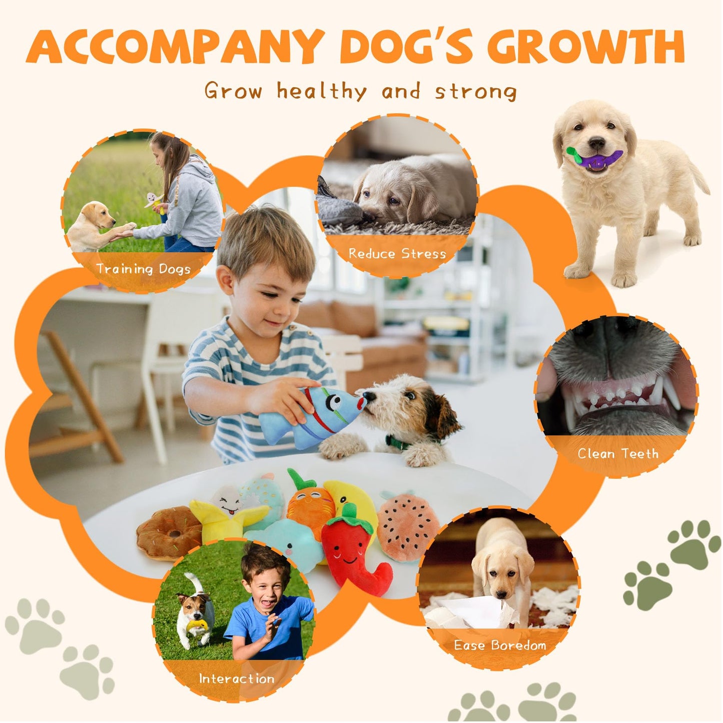 QTwoof Cheerful 20-Pack Squeaky Dog Toys Set Included 4 Dog Bags Plush