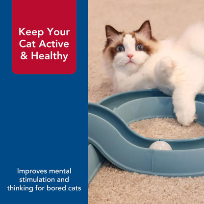 Coastal Pet Turbo Track Cat Toy Cat Ball Toy Racetrack Easy Ball