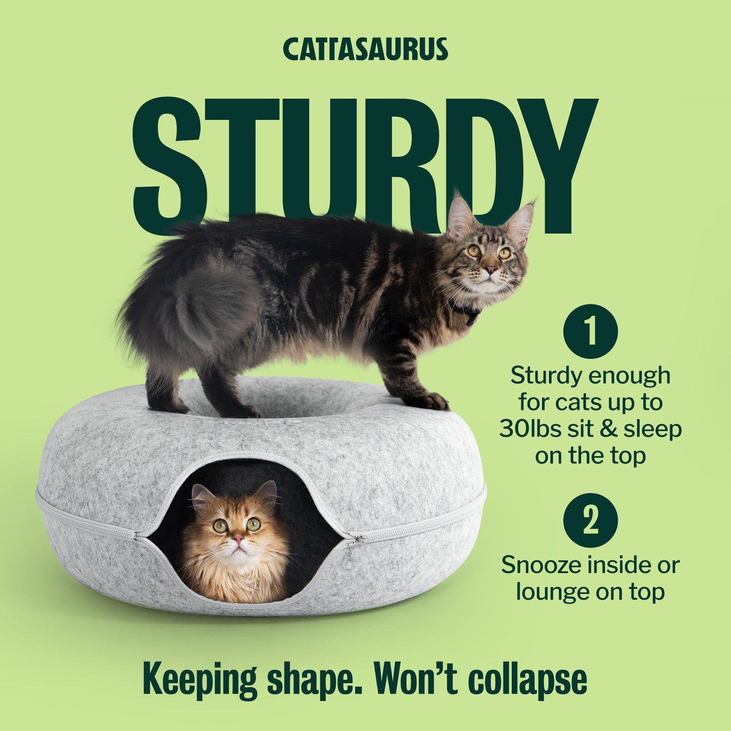 Cattasaurus Peekaboo Cat Cave Duo Jumbo Set, Extra Spacious Cat Bed