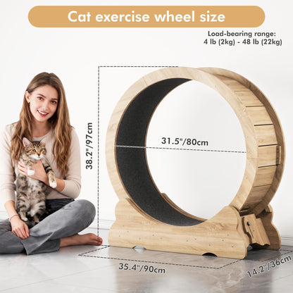 Cat Exercise Wheel, Cat Running Wheel with Smooth and Quiet Teaser