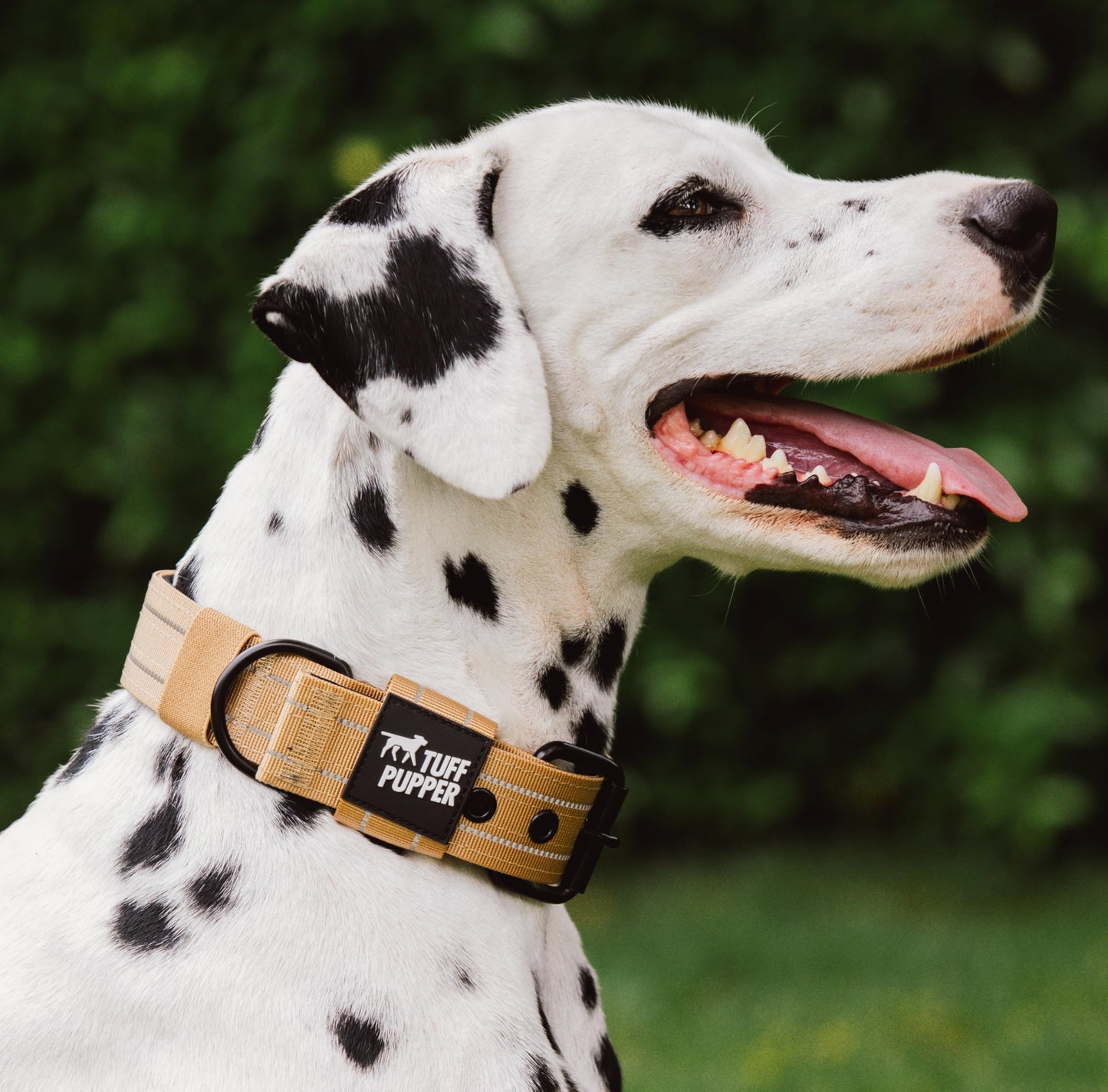 Tuff Pupper Heavy Duty Tactical Dog Collar, 1.5" Wide Ballistic Collar