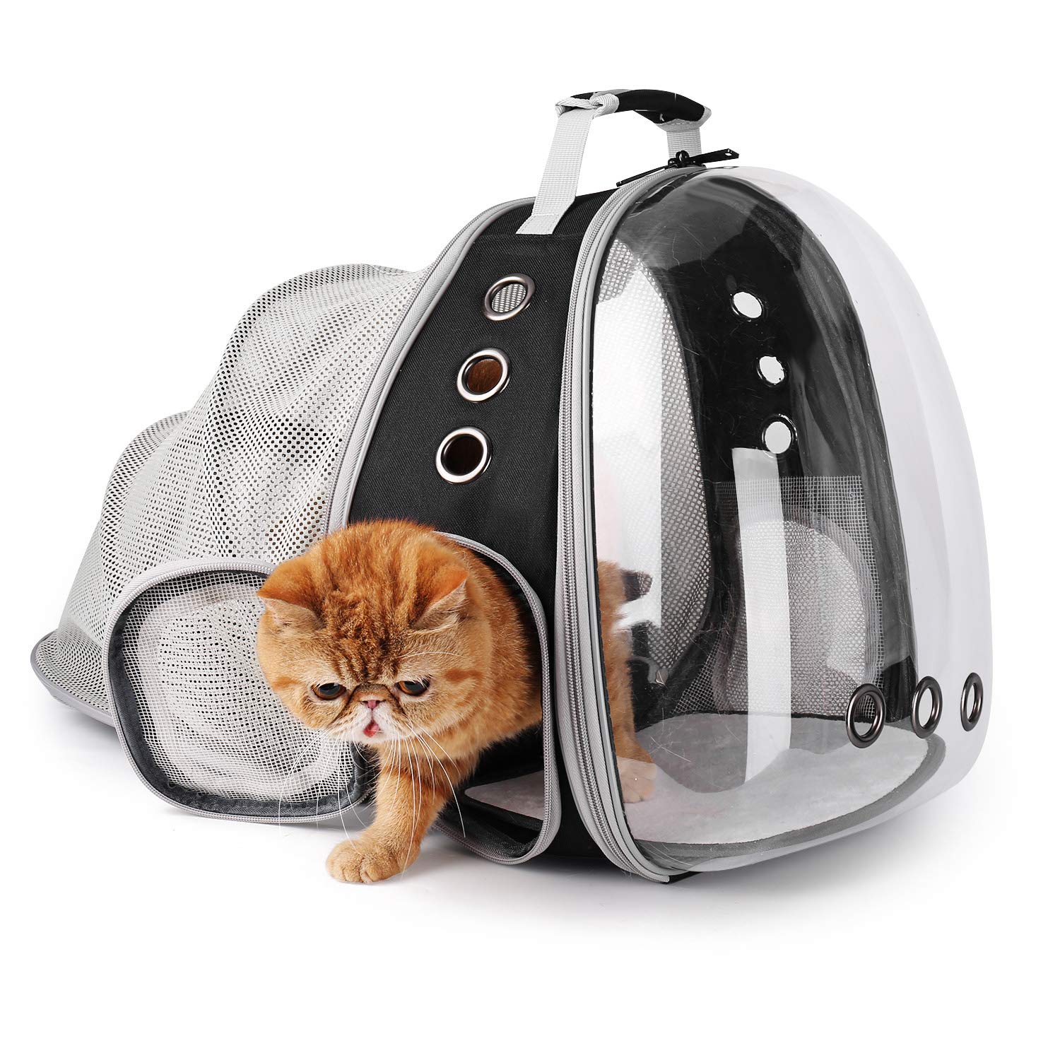 Lollimeow Cat Carrier Backpack, Expandable Bubble Pet Carrier