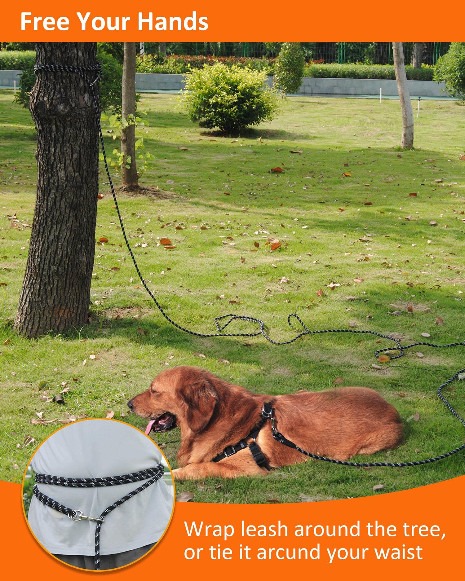 Long Dog Leash, Reflective, Heavy Duty Leash
