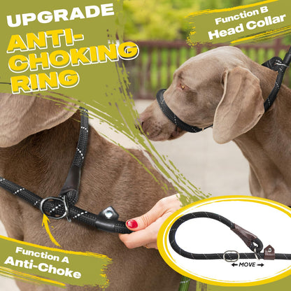 Fida Durable Slip Lead Dog Leash Bulk Pack of 5, Heavy Duty 1/2" Lead