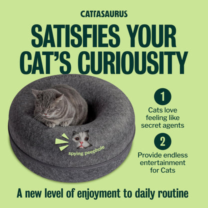 Cattasaurus Peekaboo Cat Cave for Multiple Large Cats Up to 30 Bed