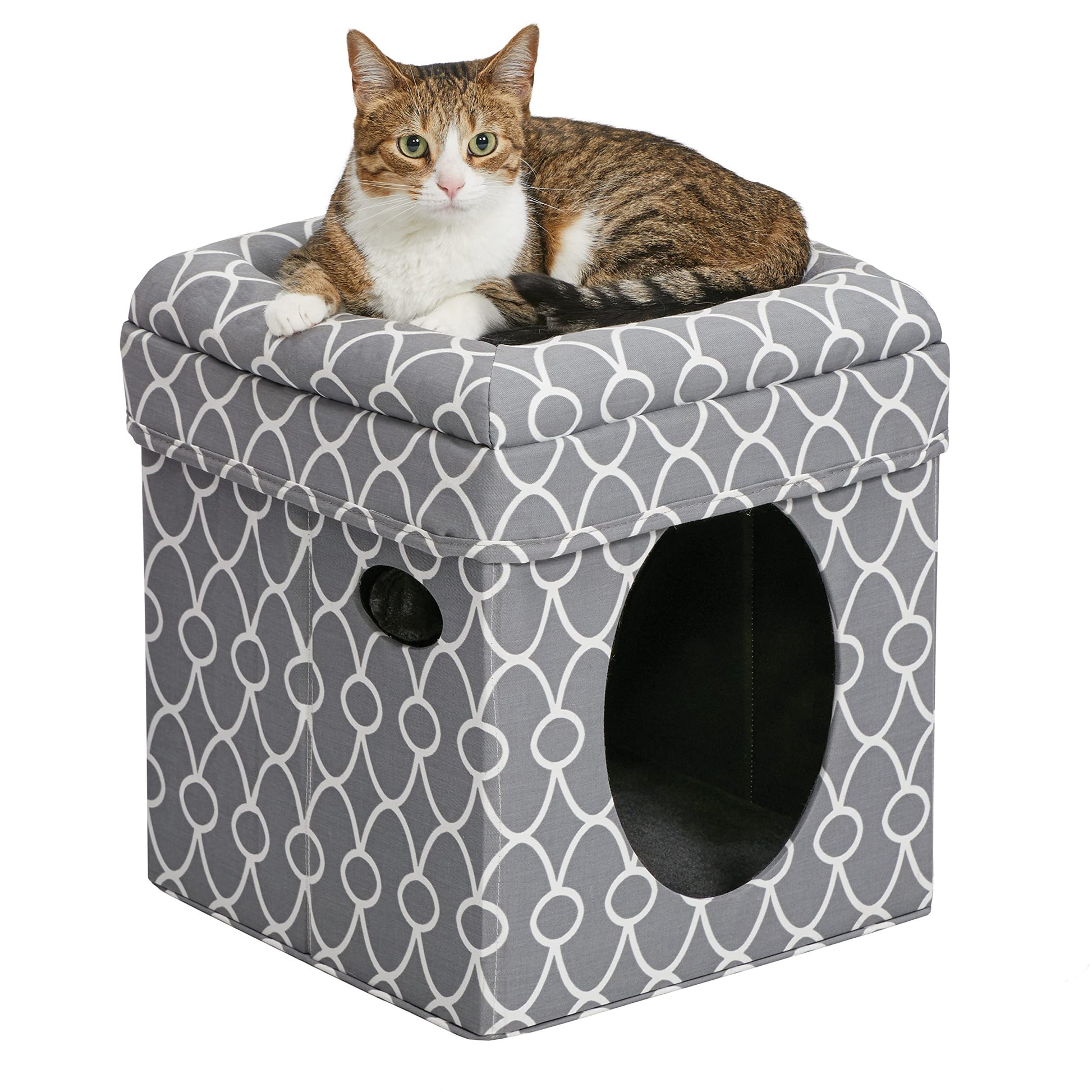 MidWest Homes for Pets Feline Nuvo Curious Cat Cube, Foldable Toy