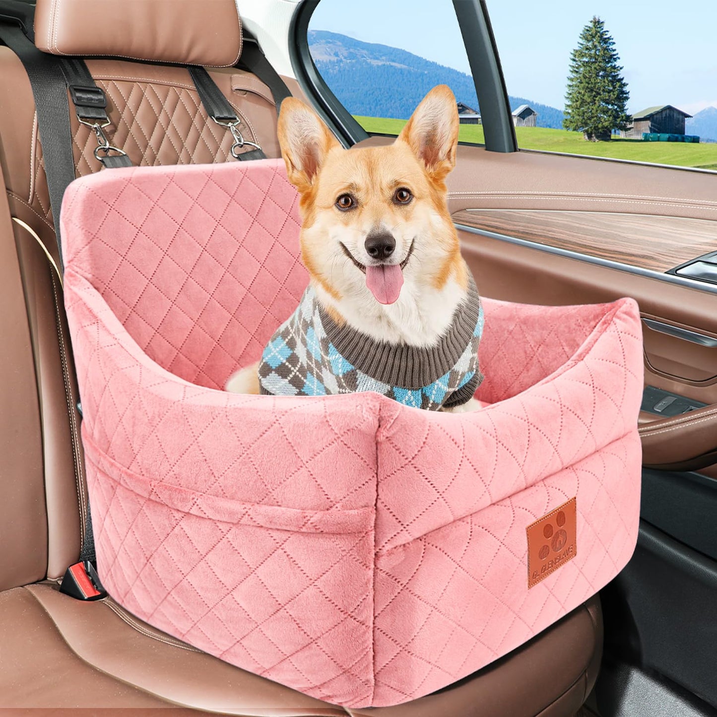 Dog Car Seat for Small/Medium Dogs, Dog Booster Car Seats with Seat