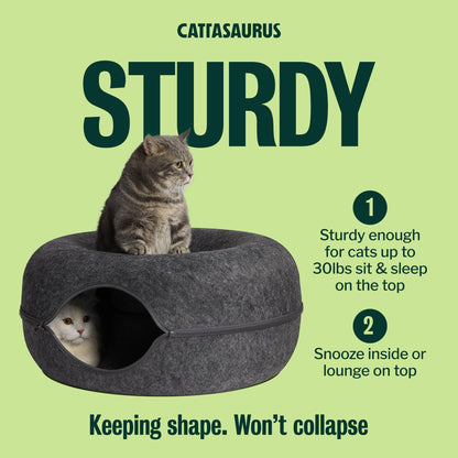 Cattasaurus Peekaboo Cat Cave for Multiple Large Cats Up to 30 Bed