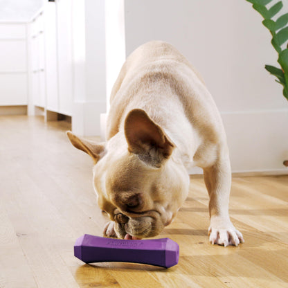 Playology Dog Toys, Squeaky Chew Stick for Dogs, Value 2-Pack, Chew