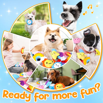 QTwoof Irresistible Weather-Themed 20-Pack Squeaky Dog Toys Set