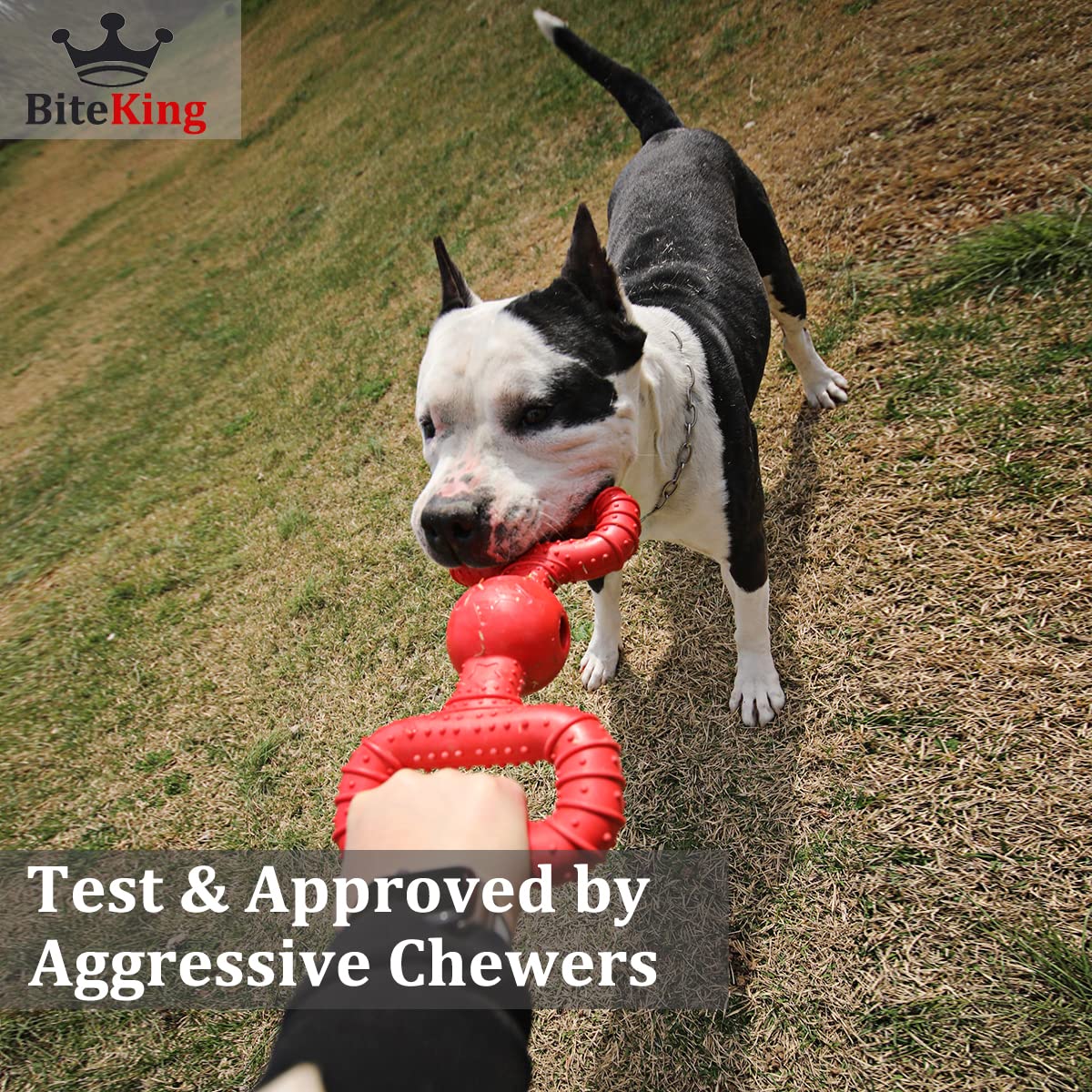 BiteKing Natural Rubber Dog Toys for Large Aggressive Chewers Lifetime