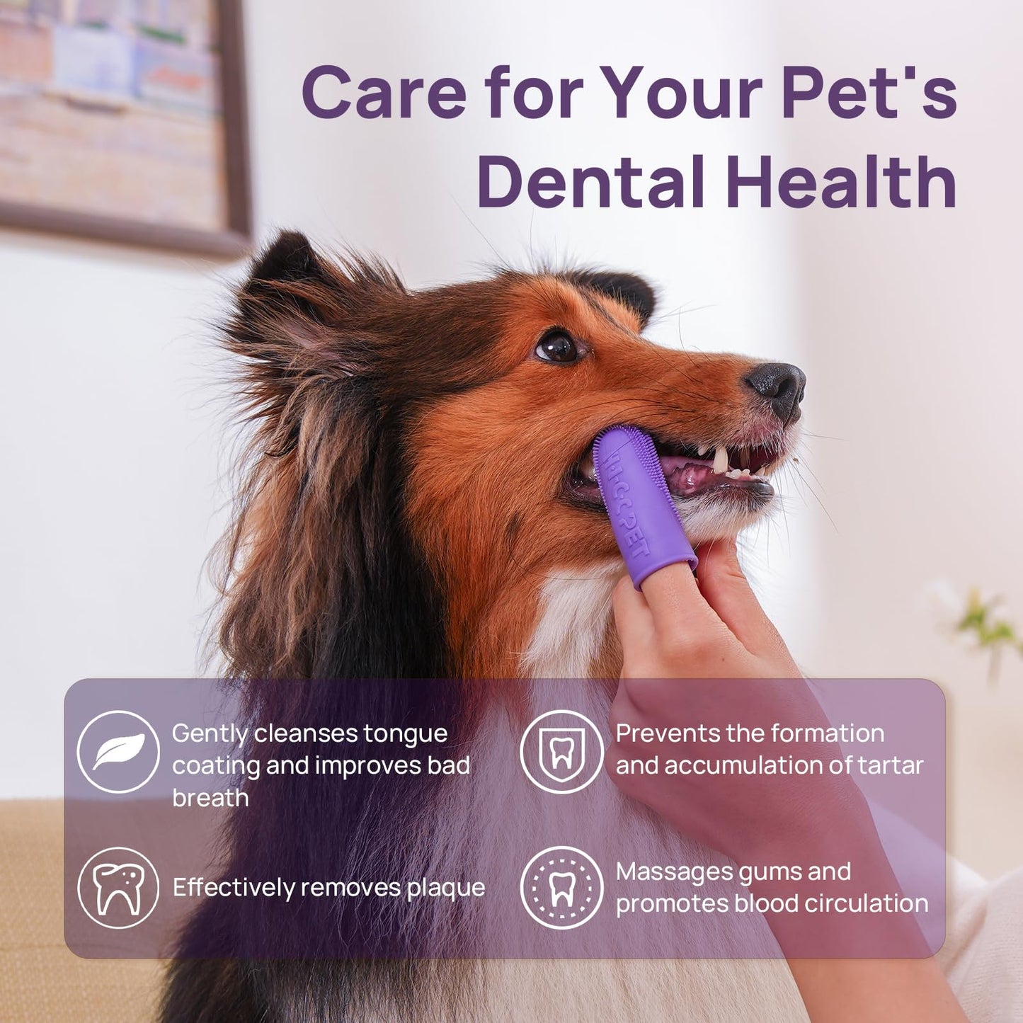 HICC PET Dog Toothbrush, Anti-Slip Dog Tooth Brushing Kit, Dog Kit