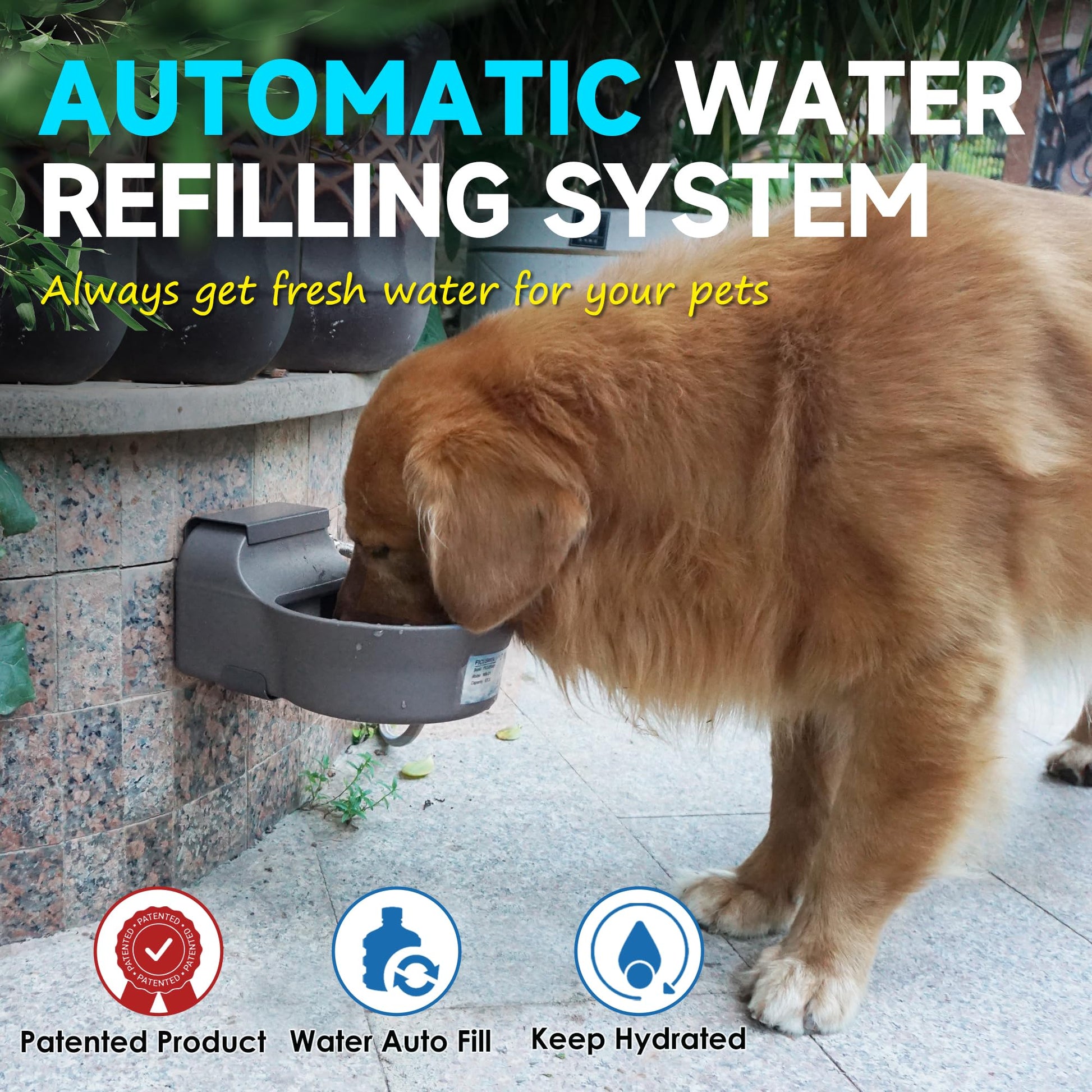 Automatic Dog Water Dispenser with Anti-tip Bracket, Outdoor Dog Bowl