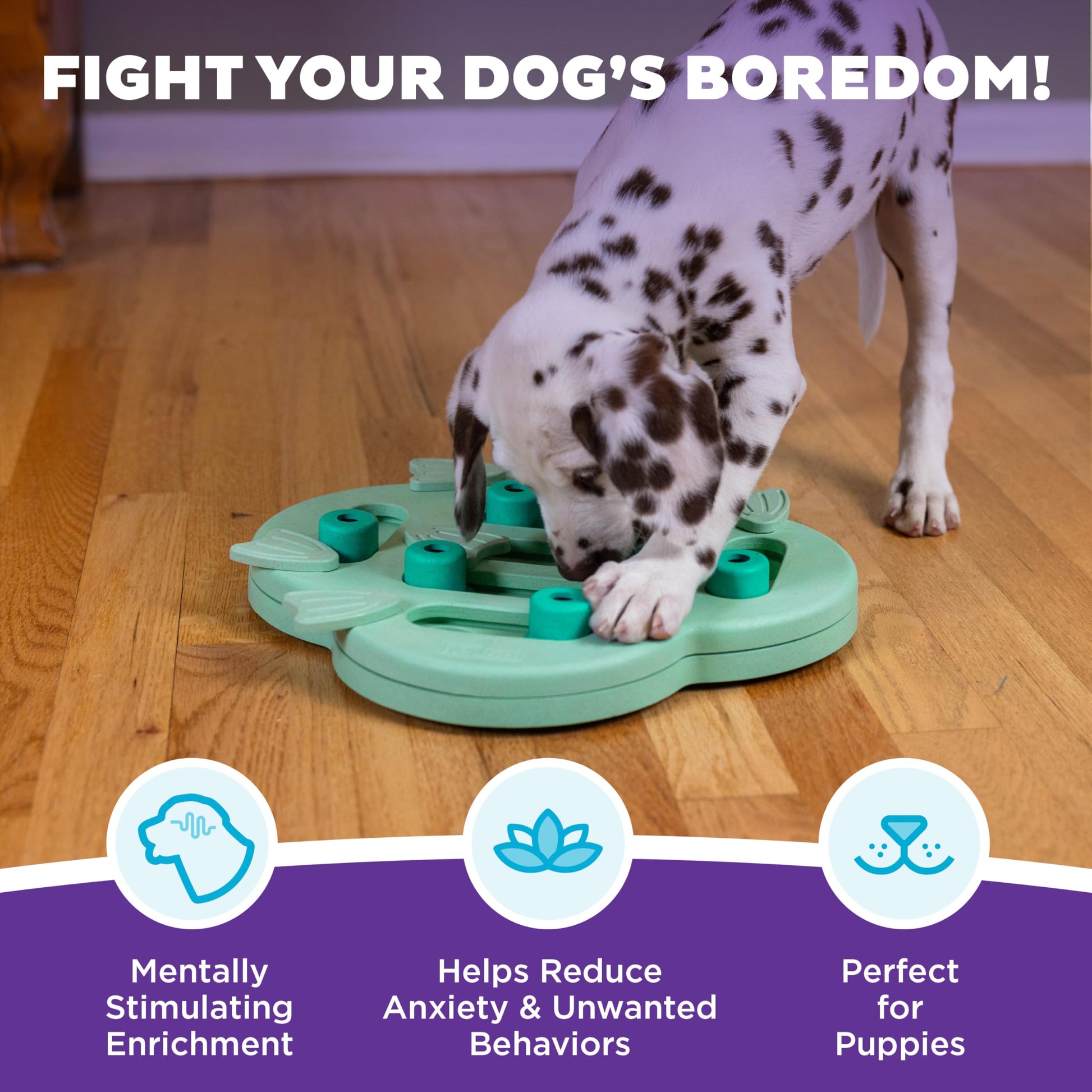 Outward Hound by Nina Ottosson Puppy Hide N' Slide Treat Puzzle