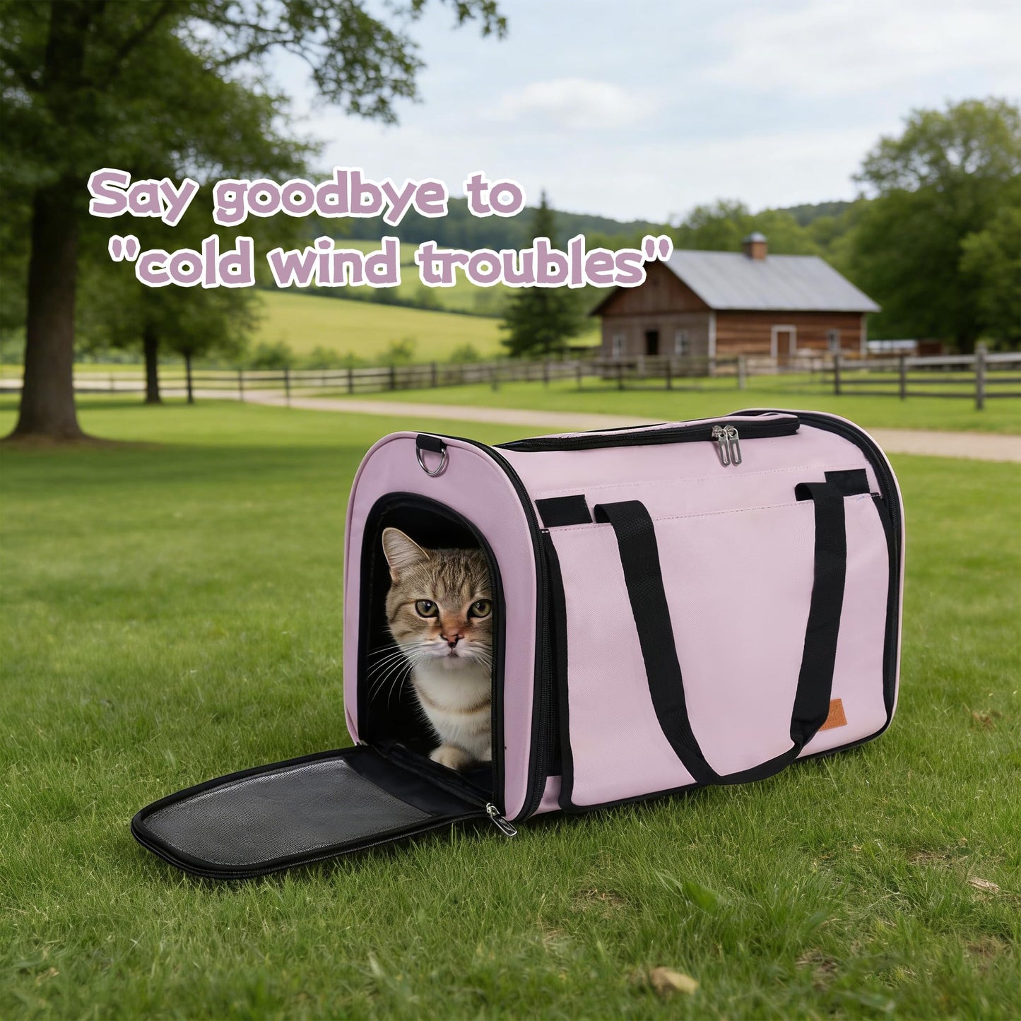TWDEPART Cat Carrier Backpack Multifunctional, Firm Foldable Cushion