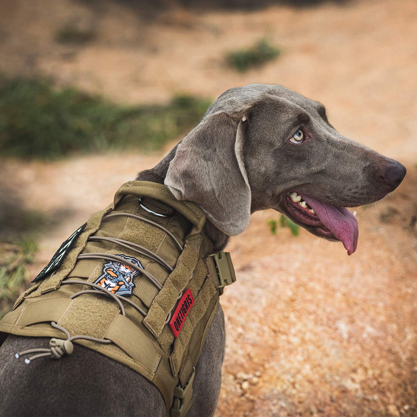 OneTigris Dog Harness,Tactical Dog Harness with Handle,No-Pull Hook