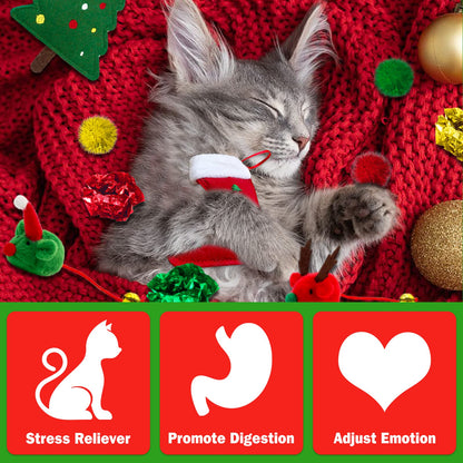 Lepawit Cat Christmas Stocking, 10 Pack Gifts for Christmas Catnip