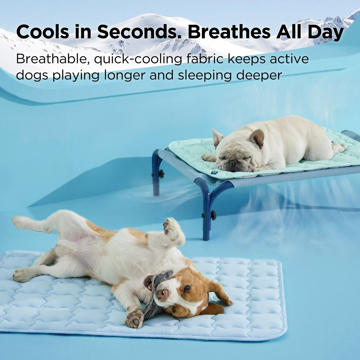 Bedsure Cooling Mat for Small Dog, Q-Max>0.5 Thin Breathable Crate