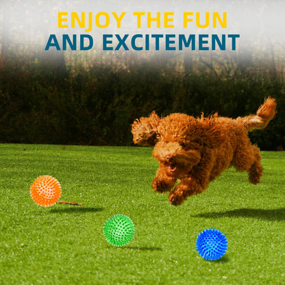 SHARLOVY 3'' Squeaky Balls for Small Dogs, 4 Colors Spiky Dog Balls