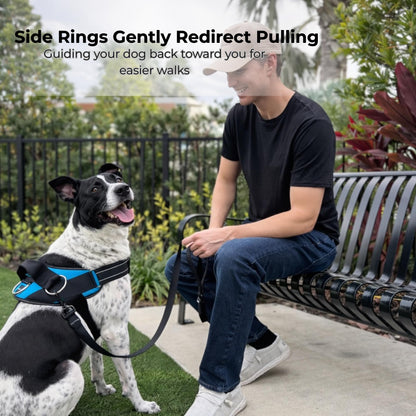 ShawnCo Essential Dog Harness, No-Pull Pet Vest with 3 Leash Leash