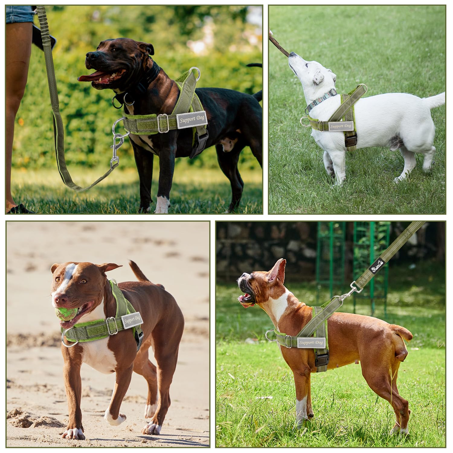 Lukovee No Pull Dog Harness Leash Set Heavy Duty Dog Vest Harness