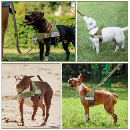Lukovee No Pull Dog Harness Leash Set Heavy Duty Dog Vest Harness