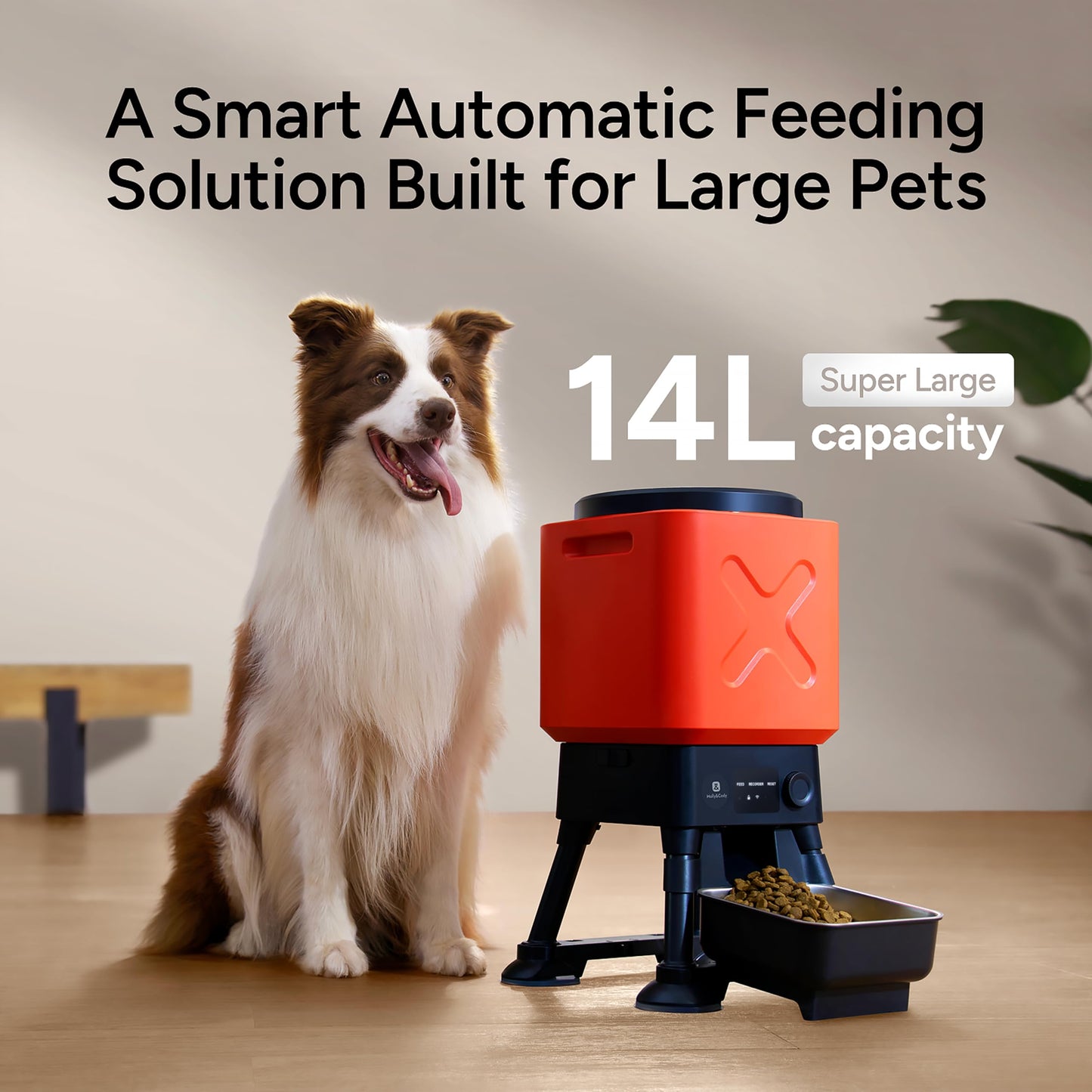 Automatic Dog Feeder for Large Breed Extra Large Capacity Bowl