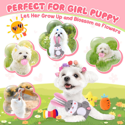 Zeaxuie 23 Pack Puppy Toys for Teething, Small Dog Toys with Cute Chew