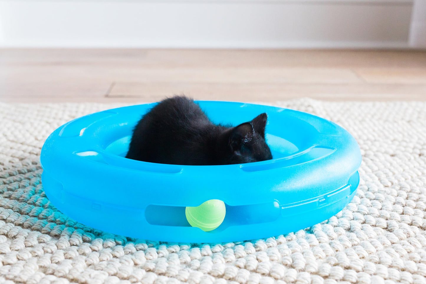 Fat Cat Crazy Circle Interactive Cat Toy