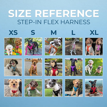 Best Pet Supplies Voyager Adjustable Step-in Flex Breathable Mesh Set