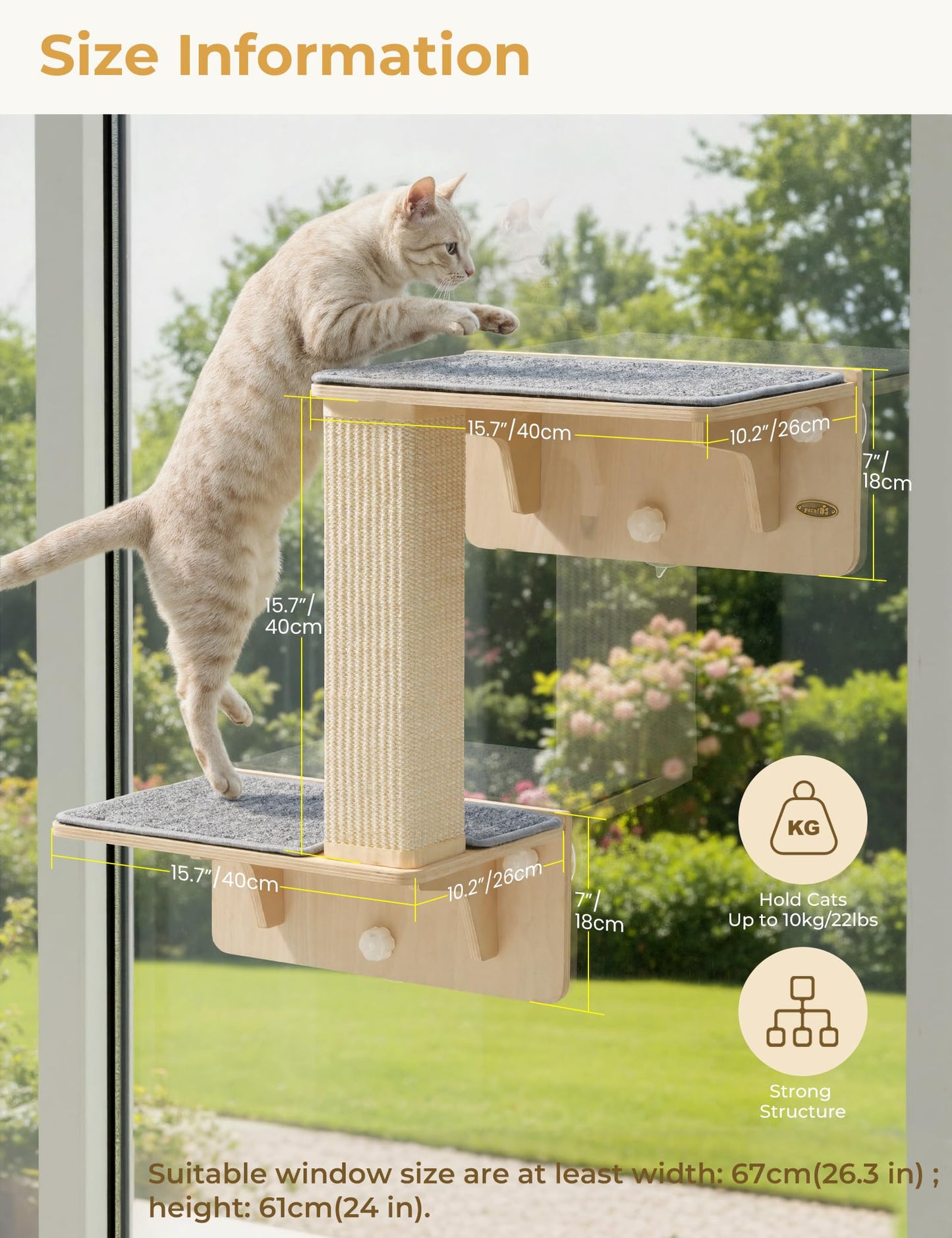 Pecute Double Cat Shelves with Scratching Post for Wall and Window Bed