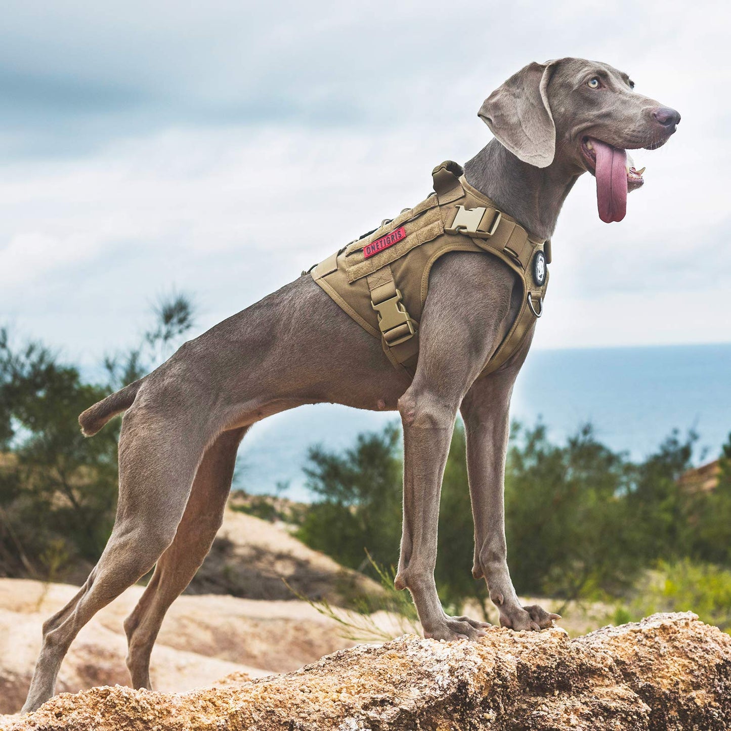 OneTigris Dog Harness,Tactical Dog Harness with Handle,No-Pull Hook