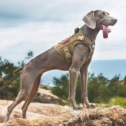 OneTigris Dog Harness,Tactical Dog Harness with Handle,No-Pull Hook