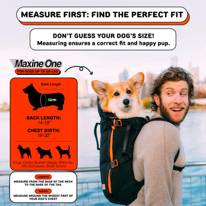 Maxine One Dog Backpack Carrier for Medium Dogs by Little Carrier