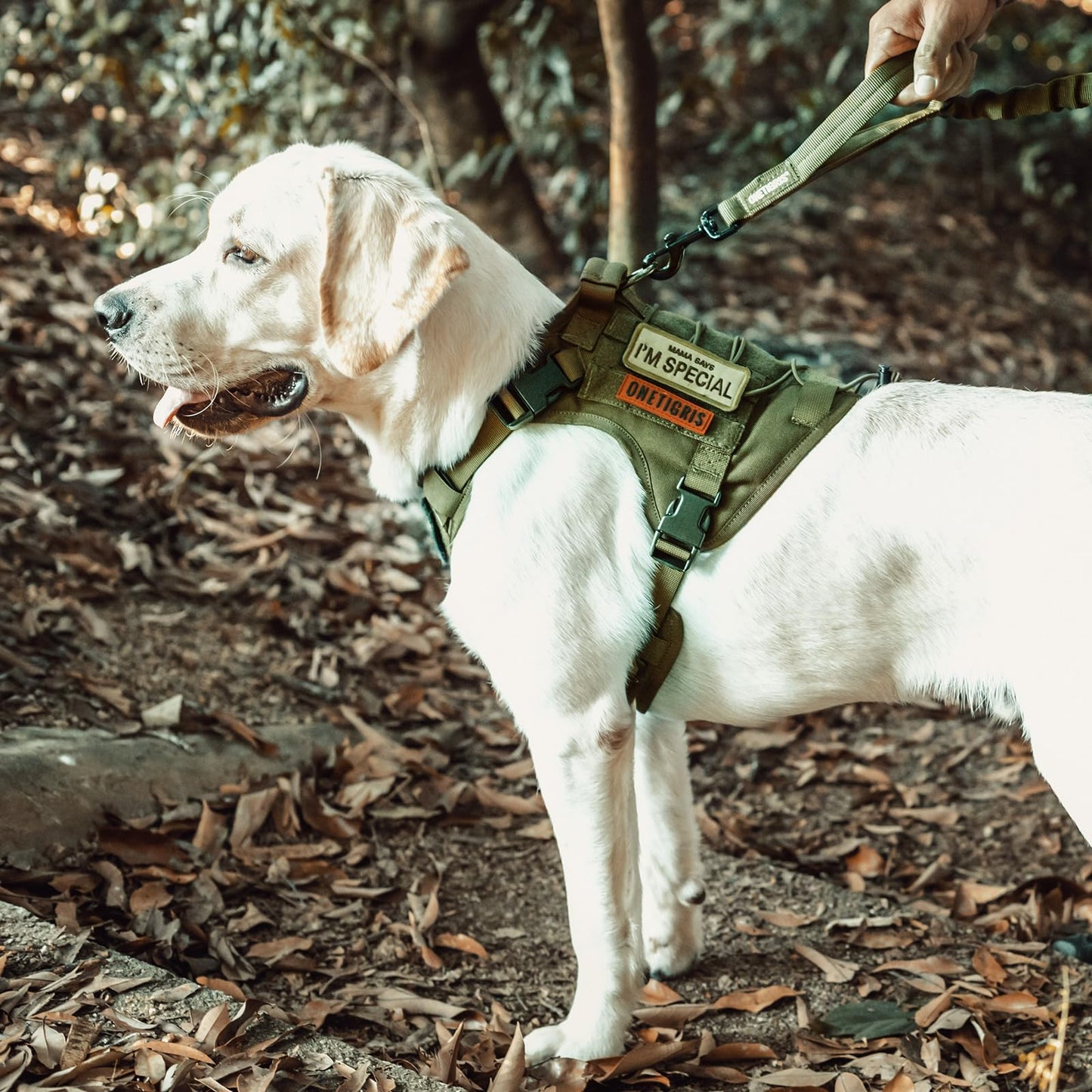 OneTigris Dog Harness, Tactical Dog Harness No-Pull Breathable Harness