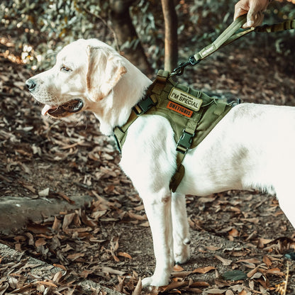 OneTigris Dog Harness, Tactical Dog Harness No-Pull Breathable Harness