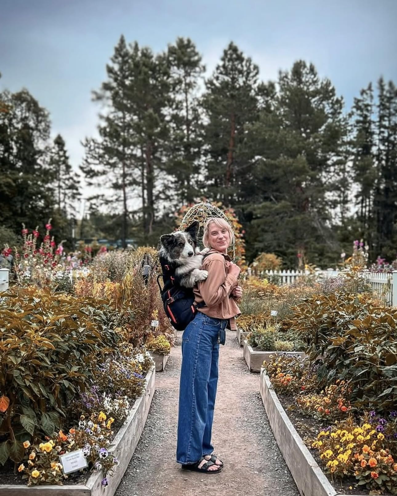 Maxine One Dog Backpack Carrier for Medium Dogs by Little Carrier