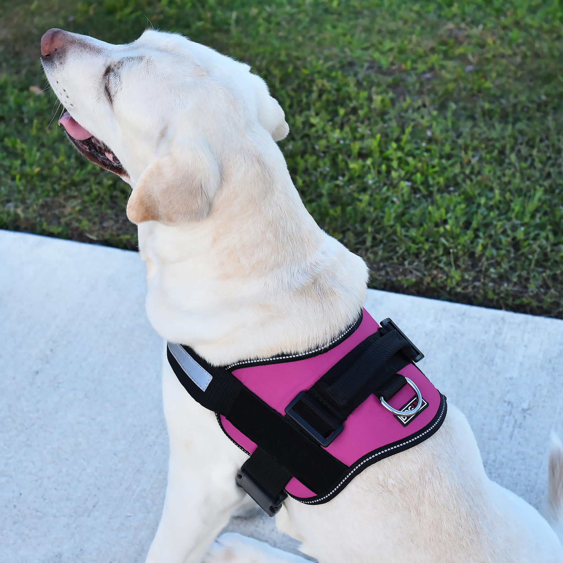 Dogline Reflective No-Pull Adjustable Vest with Handle for Harness