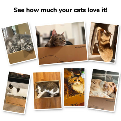 FUKUMARU 5 PCS Cat Scratching Boards, Width Ex-Large Cat Scratcher
