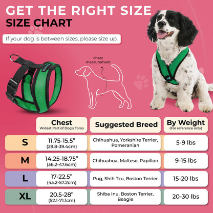 Gooby Comfort X Head In Harness Hunter X-Large No Pull Harness