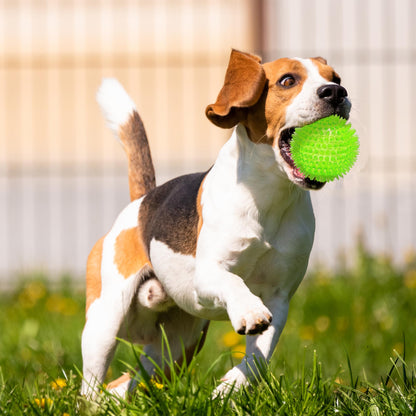 Ousiya 3.5” Squeaky Dog Toy Balls (6 Colors) Dog Toys Spikey Dogs Ball