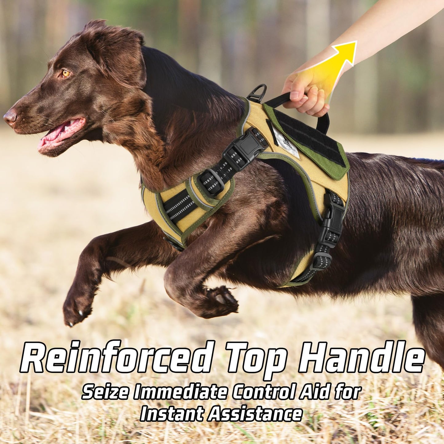 WINGOIN Tactical Dog Harness for Small Dogs, No Pull Harness