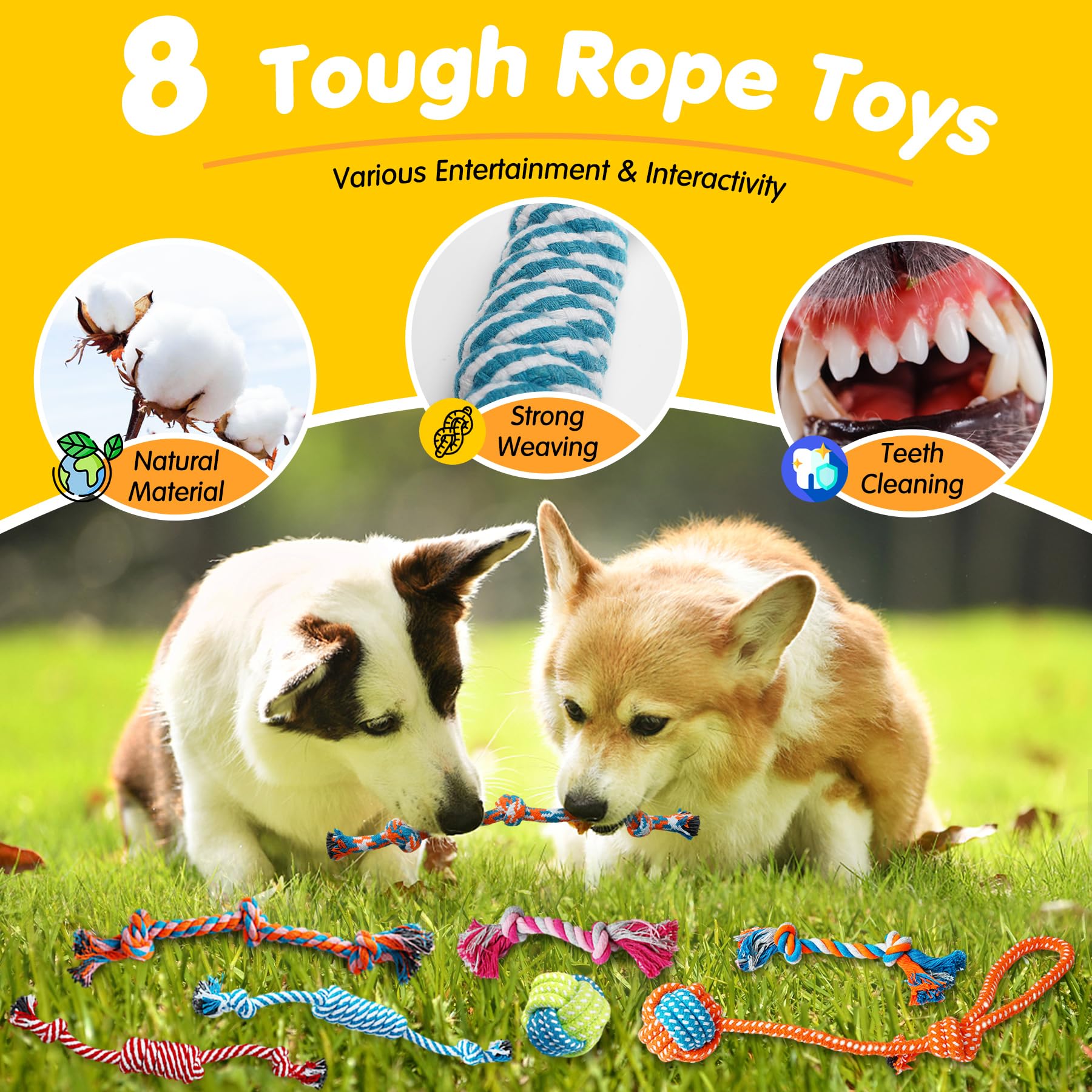 Zeaxuie 25 Pack Luxury Dog Chew Toys for Puppy, Dog Toys with Chew
