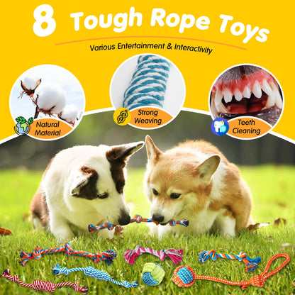 Zeaxuie 25 Pack Luxury Dog Chew Toys for Puppy, Dog Toys with Chew
