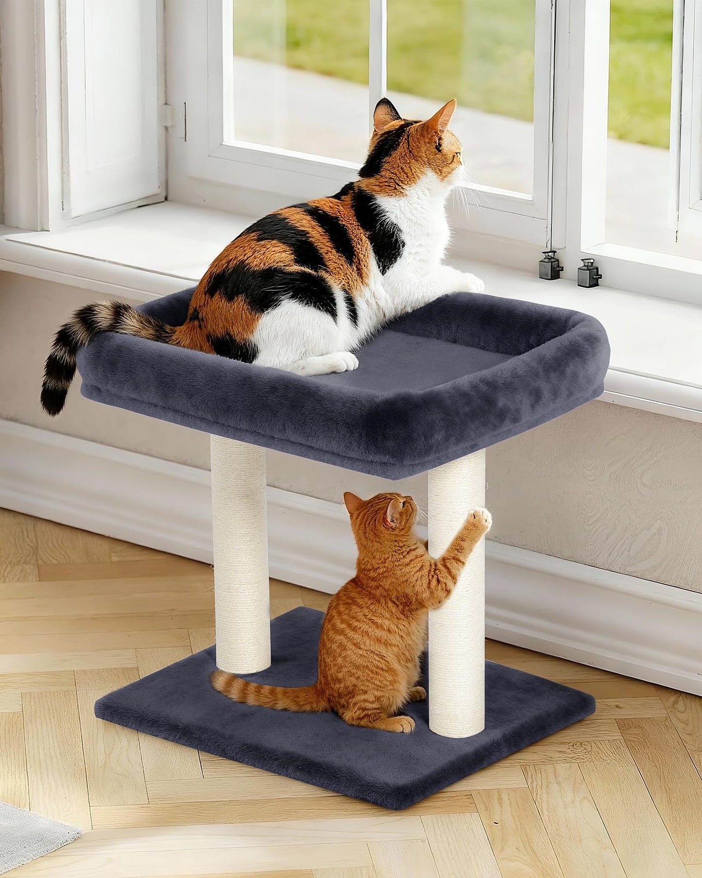KinoTail Cat Tree with Large Top Perch Bed (19"×15.8"), Tower