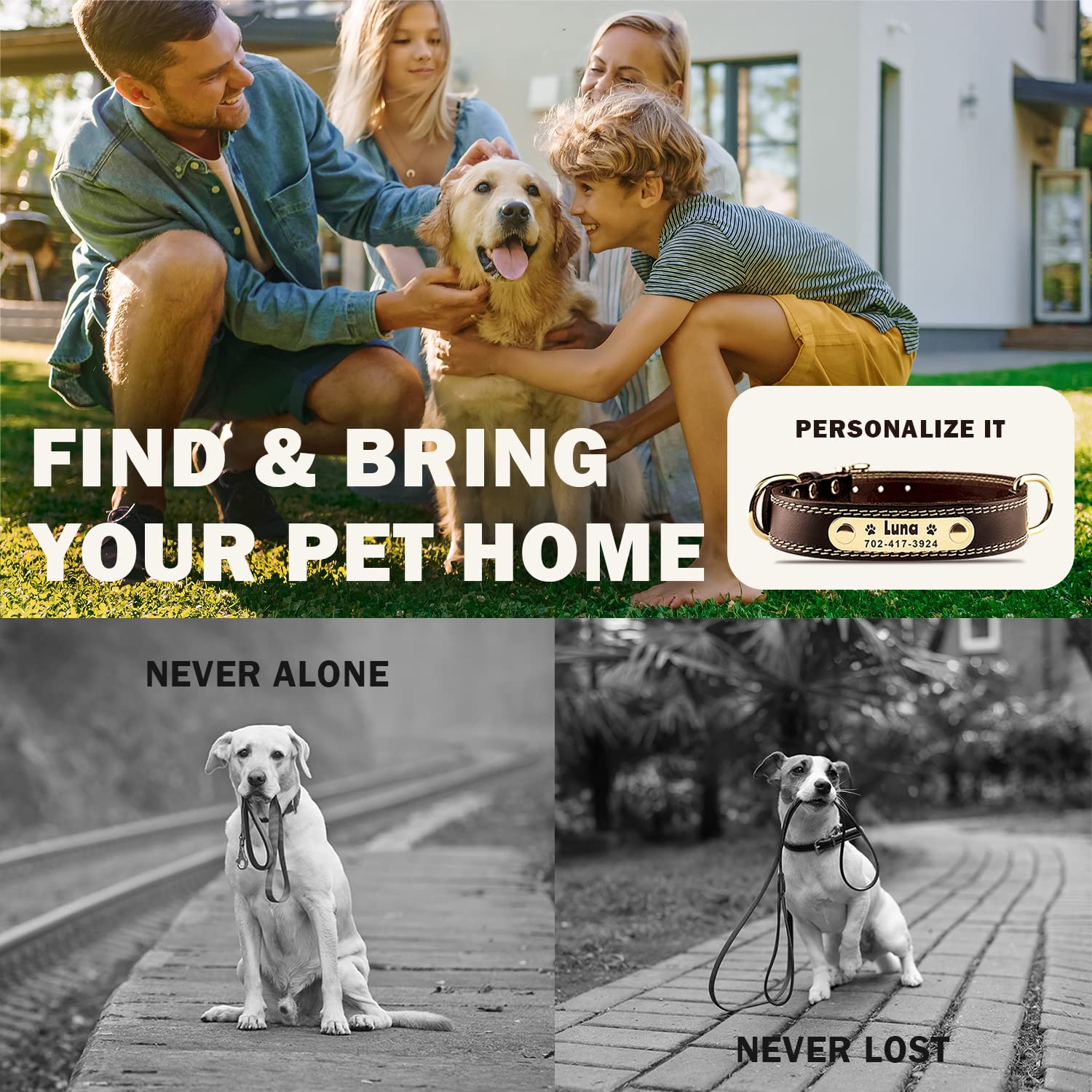 Personalized Custom Leather Dog Collar with Engravable Collar