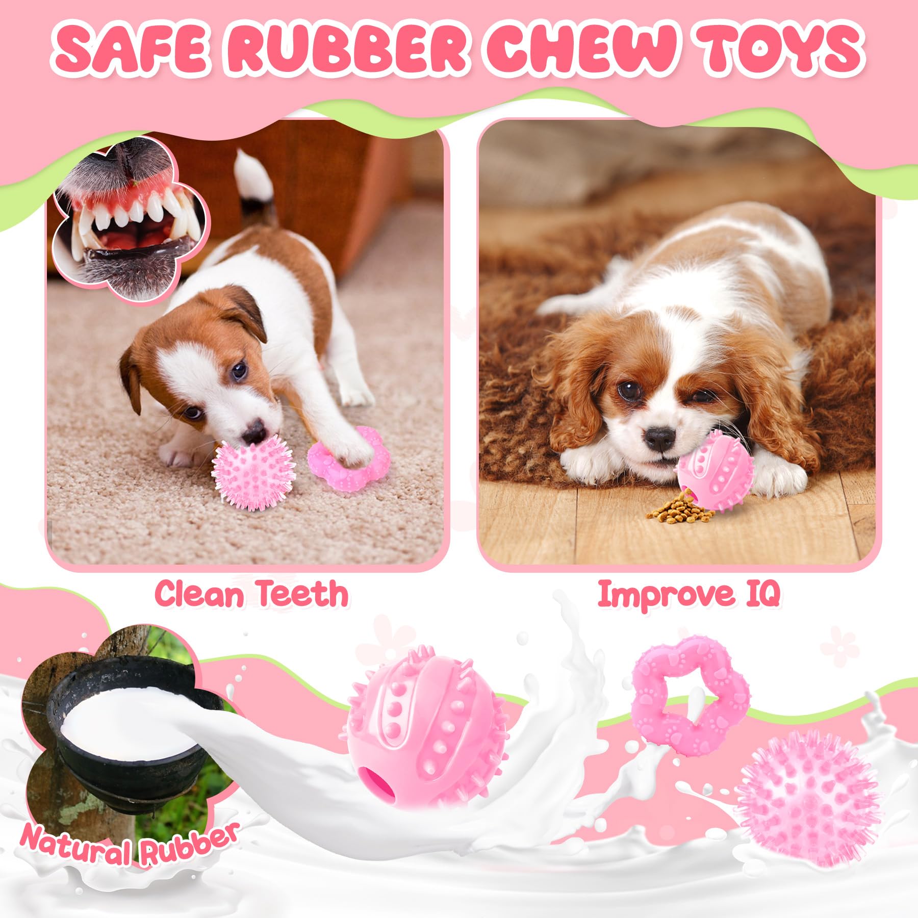 Zeaxuie Puppy Toys for Teething 9 Pack Small Dog Set With Chew