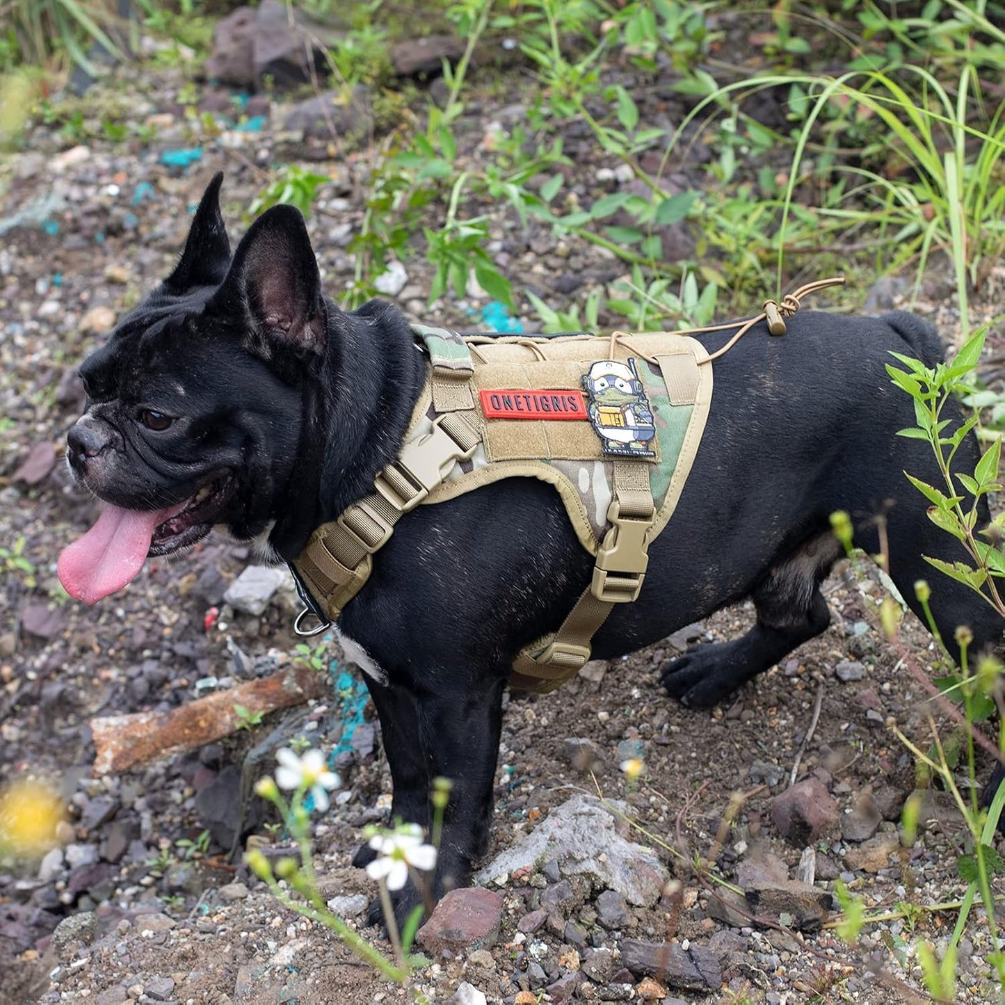 Tactical Dog Harness Vest with Handle, Military Dog Harness